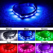 BLAZIN Brightest Light Up Dog Collars - The Original  Assorted Sizes , Colors 