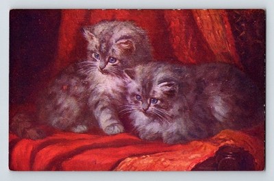 Tiere: Zwei Katzen. Unbestellte Postkarte.