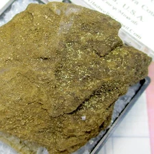 20182 TN Rosickýite Unspecified Pacific Ocean Drill Hole, Ventura County, Califo