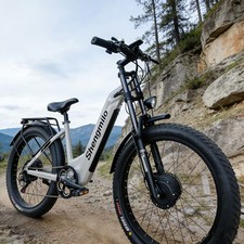 26'' Fat Tire Electric Bike 2000W 48V Dual Motor E-Mountainbike Oil Brakes ebike