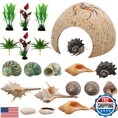 PietyPet Hermit Crab Supplies - 22 pcs Shells, Natural Coconut Shell Reptile 