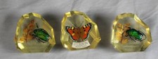 3 x Order Wędrowny, Order Wędrowny, Nagroda - Przeszkody telewizyjne 1977 + 1976 /S258