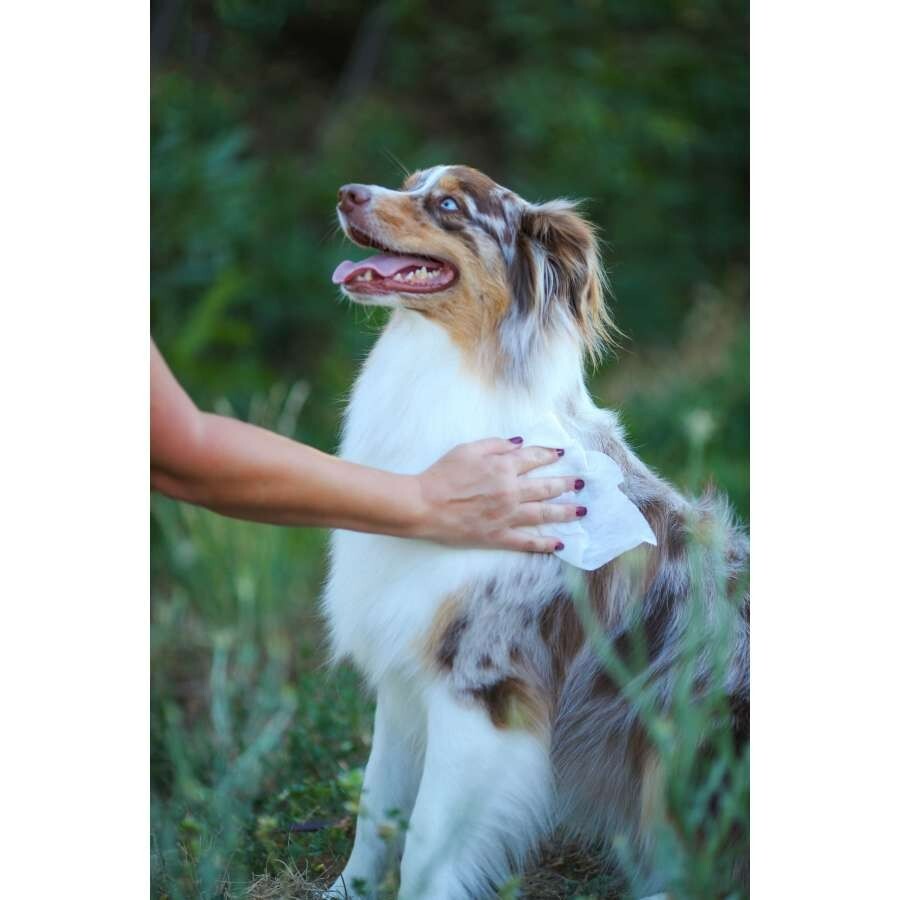 Earthbath Pet Grooming Wipes~ Mango Tango, Soft-Sided, 100 ct