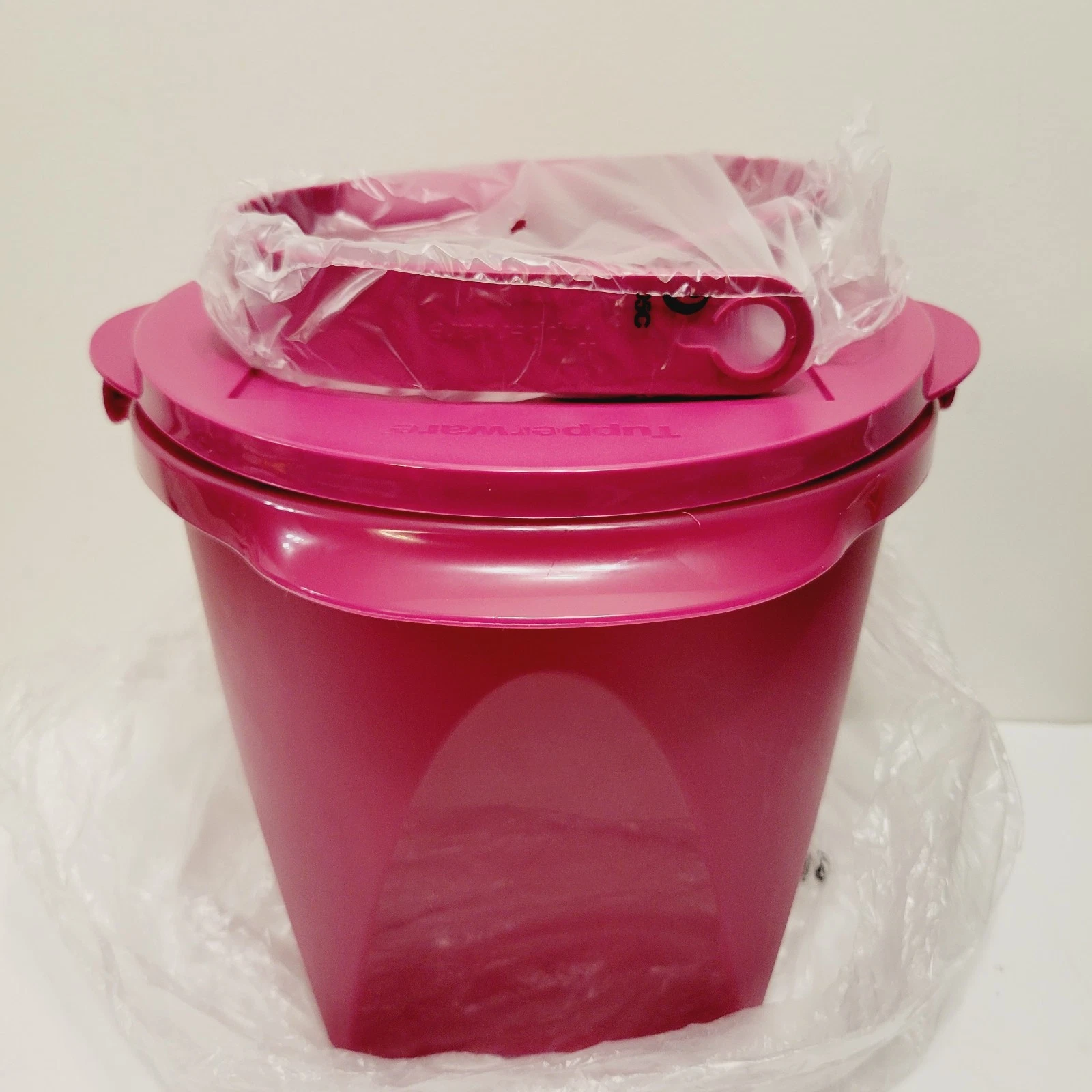 Tupperware Outdoor Summer Picnic Jumbo Removable Handle Canister Container Berry