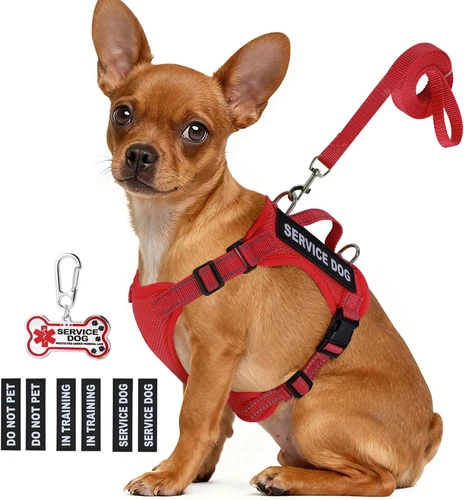 Service Dog Vest for Small Breed Dogs with ID Tag – Lightweight Puppy Harness an - Picture 1 of 12