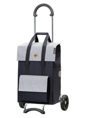Andersen Einkaufstrolley - klappbar - 54 Liter - belastbar 40 kg - Stahlgestell 