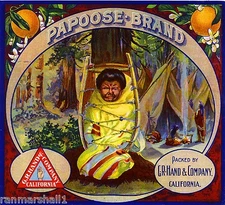Los Angeles Papoose Baby Orange Citrus Fruit Crate Label Art Print