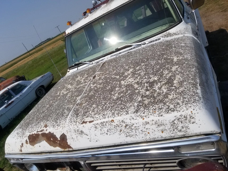 Camioneta Ford Bronco 1974 1975 1976 1977 1978 74 75 76 77 78 F150 F250 capó Foto 3 de 4