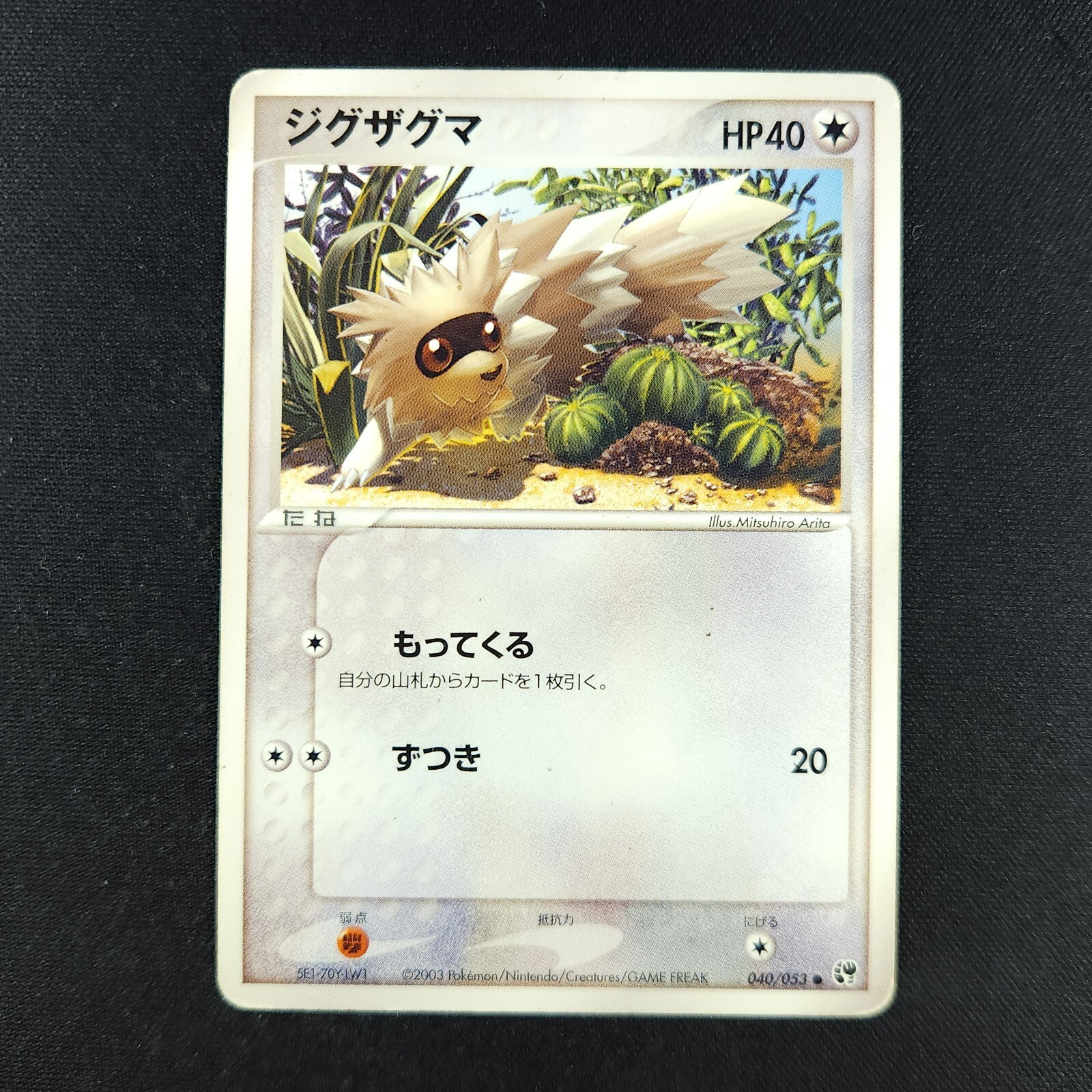 Zigzagoon 040/053 - Miracle of the Desert Japanese - Pokemon Card