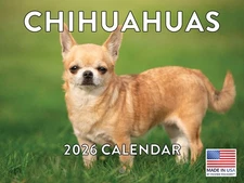 Chihuahua Calendar 2026 Monthly Wall Calender 12 Month 12x18