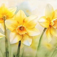 20 Servietten Daffodil Narzissen NatüRliche BlüTe FrüHling Ostern Blumen 33X33Cm