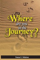 Festus Ndukwe | Where ARE YOU IN THE Journey? | Taschenbuch | Englisch (2023)