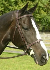 KL Select Red Barn Sovereign Bridle