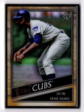 Ernie Banks 2020 Topps Transcendent Icons Base Metal Framed Card #14 95/95