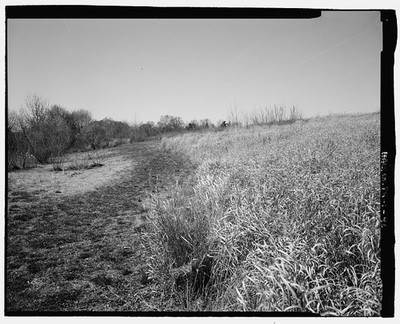 42. VIEW ACROSS MEADOW FROM A POINT WHERE IT BEGINS ITS DESCENT TOWARD THE