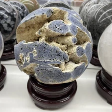 Blue Ridge Coral Fossil Sphere 6.5" Genuine Heliopora Stone Collectors Gift Xmas