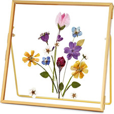Double Glass Frame for Pressed Flowers Handmade, Tabletop Photo Frame for Floati