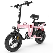 ECLIO 14" Folding Ebike PEAK 800W 25MPH 48V 14Ah Removable Battery E-City Bike