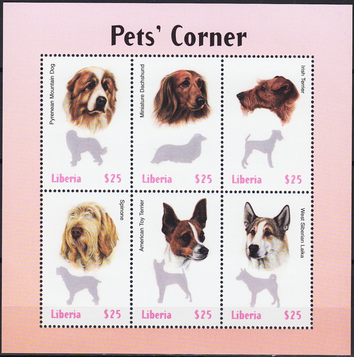 Small Dog Top 50 Cutest Dog Breeds Boy Names Unusual Girl Dog