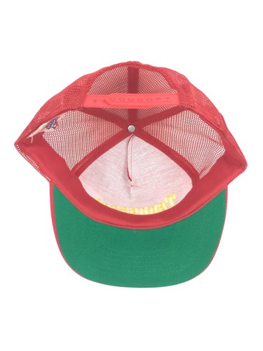 Vintage Tennessee Hat Logo State Cap Snapback Mesh Back Baseball Trucker Red - Picture 6 of 12