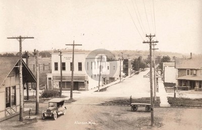 Bird's-Eye Street View, Alanson MI Michigan RPPC Photo Postcard COPY