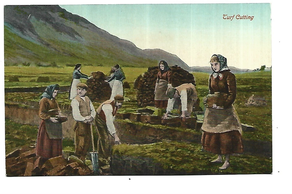 AGRICULTURE IRLANDE TURF CUTTING - Photo 1/1