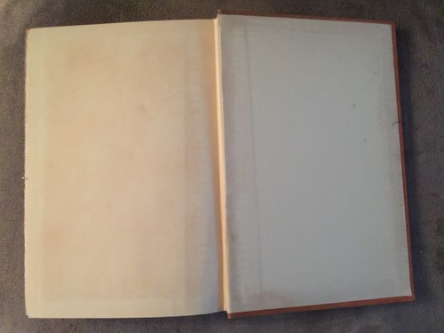 FALSE WITNESS BY IRVING STONE 1940 FIRST EDITION HARDCOVER - Imagen 7 de 7