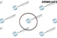 Dichtungsring, Kraftstoffpumpe Dr. Motor Automotive DRM01472 FüR Oe 1800731