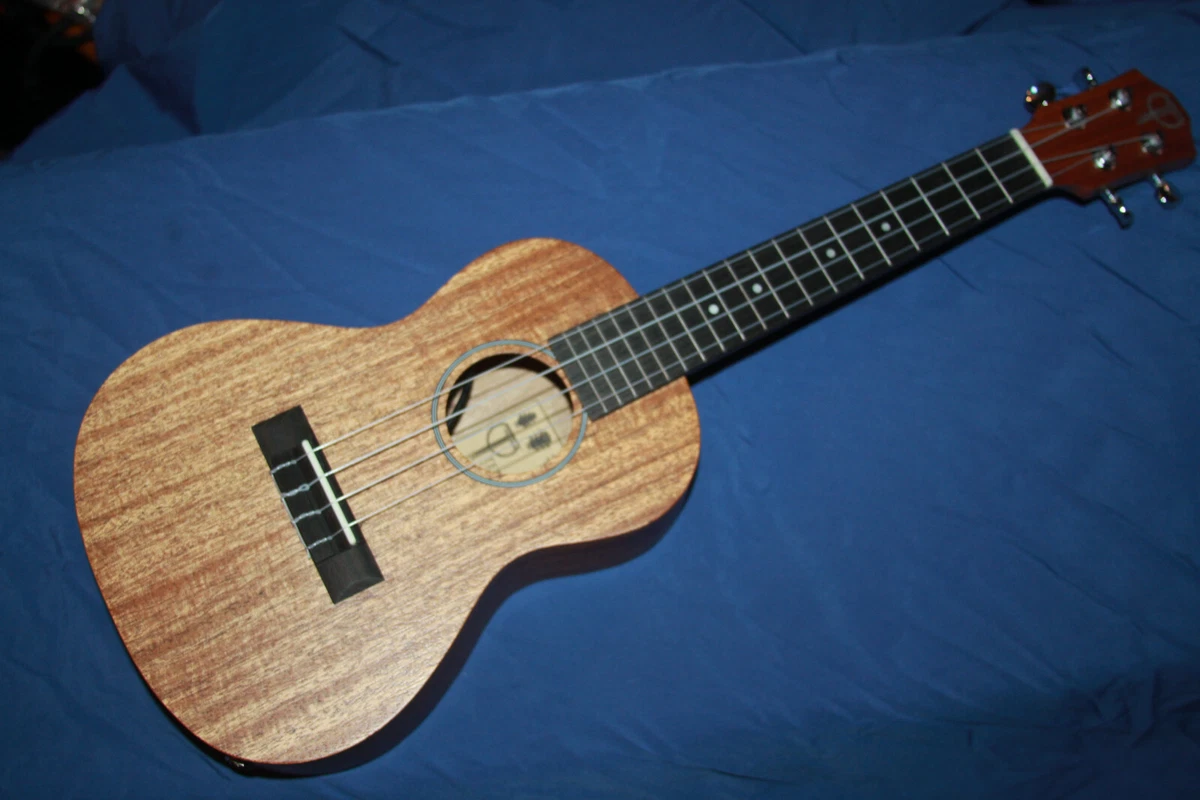 Electric ukulele pickup deals