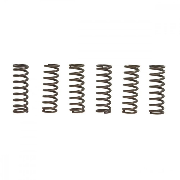 Kupplungsfeder VerstäRkt (6Stk) EBC CSK037 FüR Yamaha YFM 700 RW Bj. 2007-image