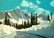 Highway 130 Over The Snowy Range In Medicine Bow Forest Wyoming Postcard