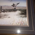 Picture 4 of 6