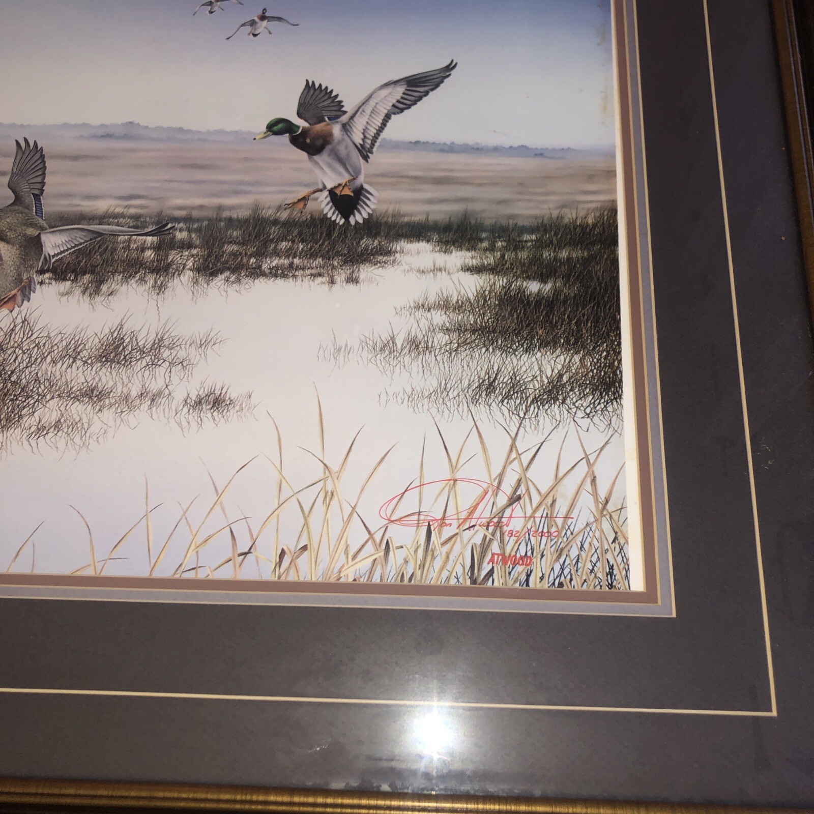 Picture 4 of 6
