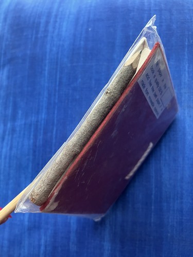 Handmade Tree Bark Leaf Cover Blank Journal Notebook Unruled Twine Bound Rustic - Picture 7 of 9