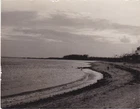 Unknown Beach Photograph VGC