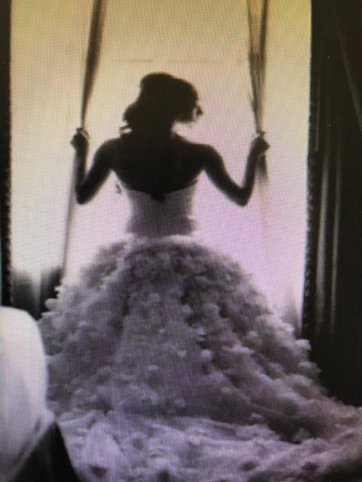 IMPRESIONANTE EXTRAORDINARIO VESTIDO DE NOVIA JIM HJELM MARFIL CLARO, talla 2 Foto 3 de 4