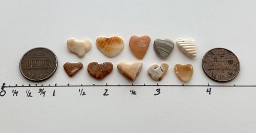 10 Fragmentos Naturales ❤️En Forma de Corazón Conchas de Mar Amor Guijarro Artesanía #S1B - Imagen 14 de 17