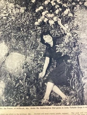 Millbrook Alabama Print Article 1950 Atlanta AJC Frasier Pretty Rhododendron