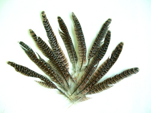 Plumas - Colores Naturales - 30 Piezas - Picture 1 of 1