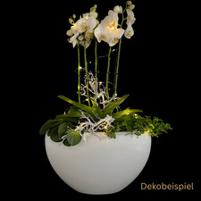 Pflanzschiff Oval Groß aus Keramik – glasiert, wasserdicht, in Weiß oder Schwarz