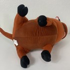 Foto 9 di 11