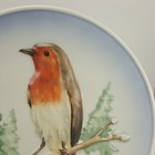 Picture 8 of 11
