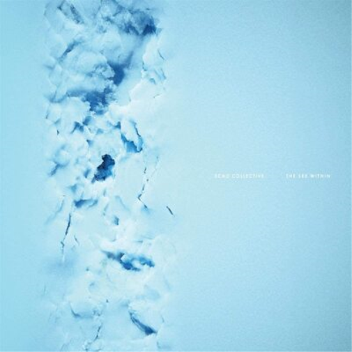 Echo Collective Echo Collective: The See Within (Vinyl LP) 12" Album