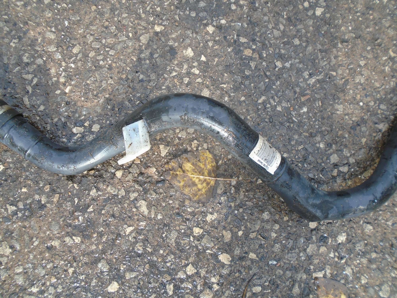 Picture 3 of 12