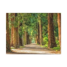 Bamboo Forest Satin Canvas, Stretched