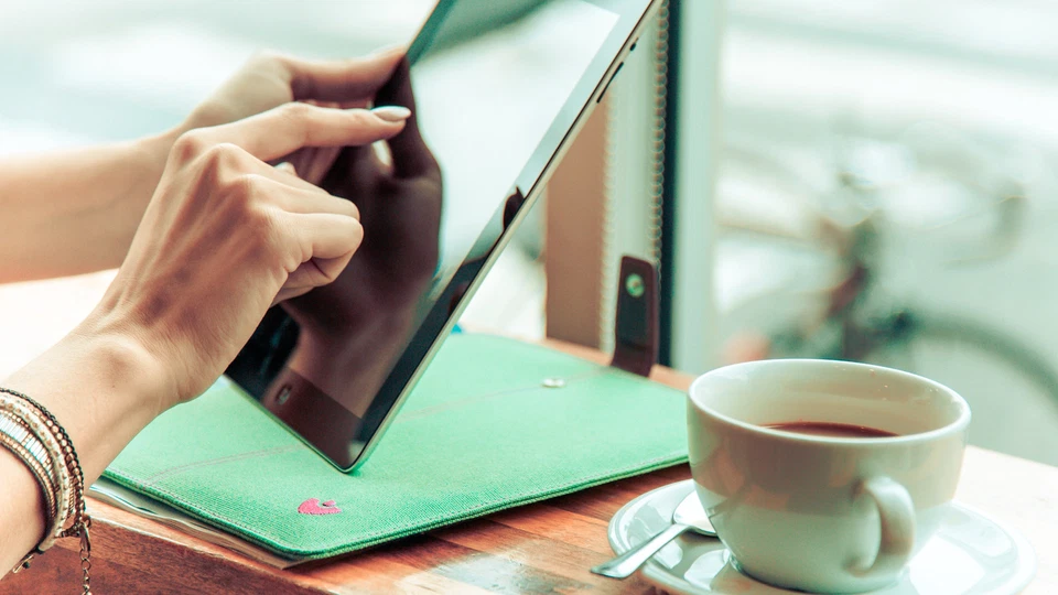 Apple iPad mini Case GREEN Canvas SANITIZING Screen Cleaning Sleeve Pouch - Image 4 of 4