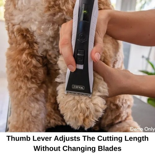 WAHL Cordless Lithium Pro Power for Pet Animal Dog Hair Grooming Clipper Kit - Picture 5 of 13
