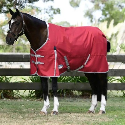 Weatherbeeta Comfitec Classic Standard Neck Lite Plus