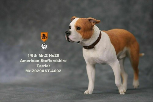 Mr.Z 1/6 American Staffordshire Terrier Dog Pet Figure Animal Decor Model Gift - Picture 17 of 29