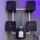 Foto 3 di 8